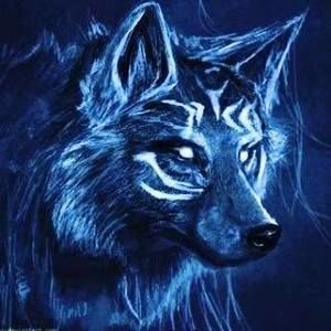 Meet your Posher, Dane